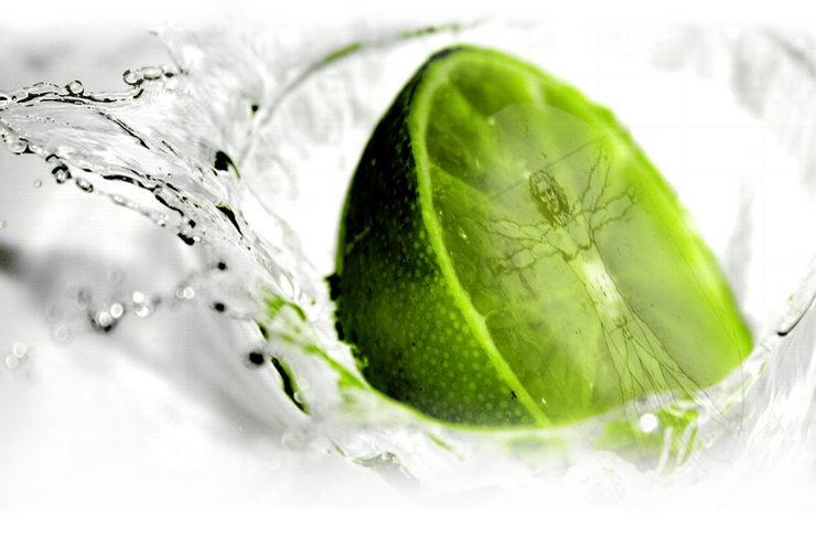 Institut für Präventionsmedizin und Gesundheitsförderung Forschung Sekundäre Pflanzenstoffe